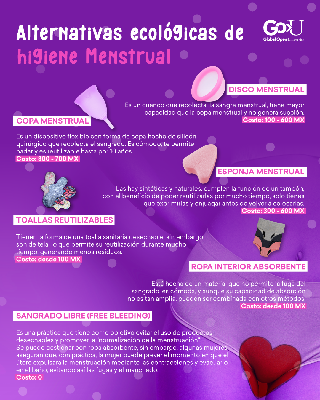 Alternativas ecológicas de higiene menstrual