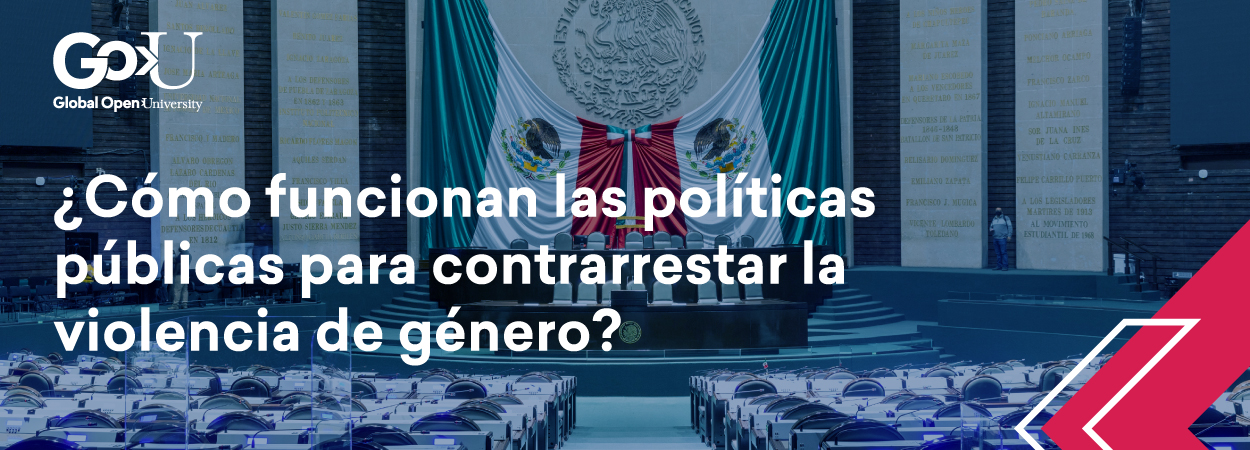 ¿Cómo funcionan las políticas públicas para contrarrestar la violencia de género?