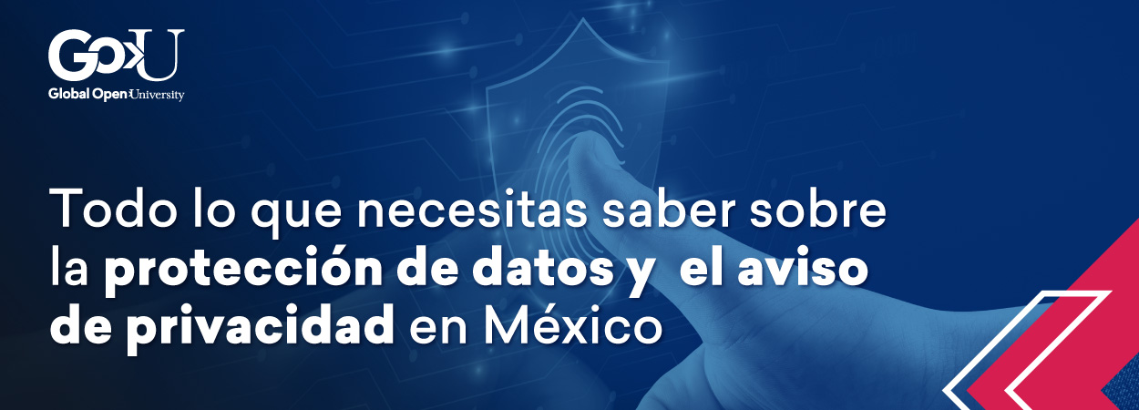 Todo lo que necesitas saber sobre la protección de datos y aviso de privacidad en México